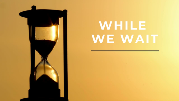 While We Wait 