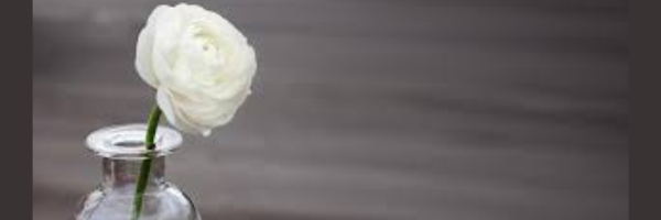 Prayers for Selam and family