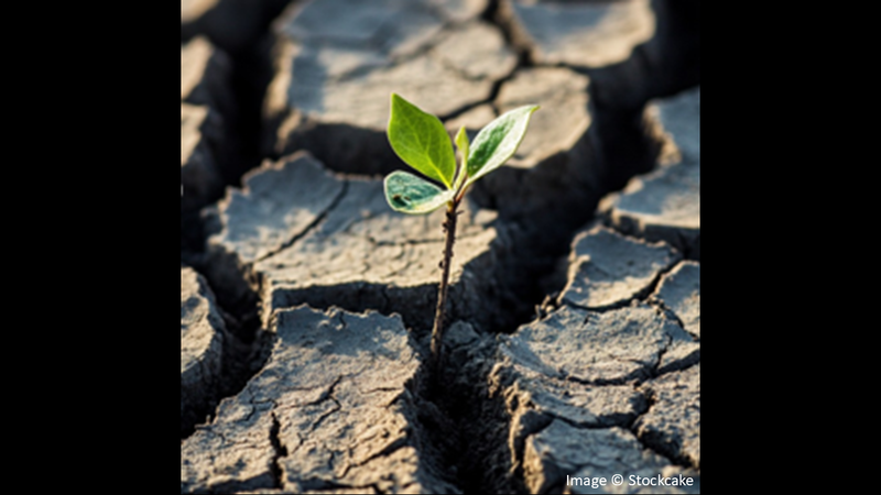 Endurance: where love reveals our souls