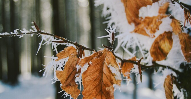 News for Nov 14, 2025 image