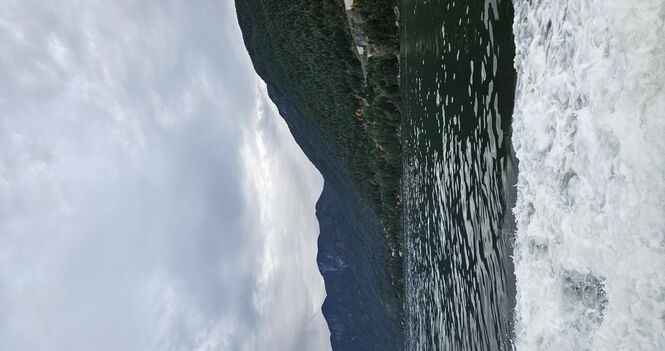 Passing the Peace - November 14, 2025