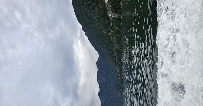 Passing the Peace - November 14, 2025