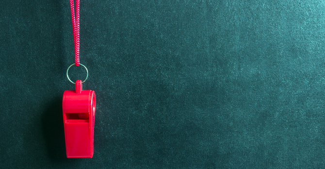 Whistle Packing Project