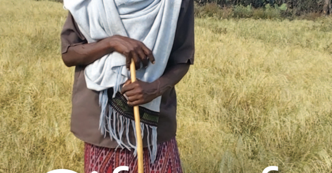 PWS&D Gifts of Change Catalogue image