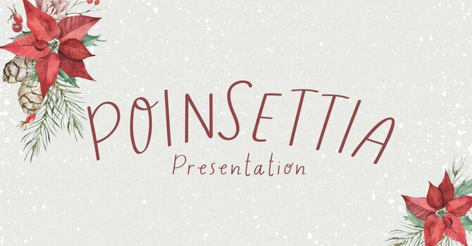 Poinsettia Presentation