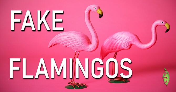 The Imperishable Seed