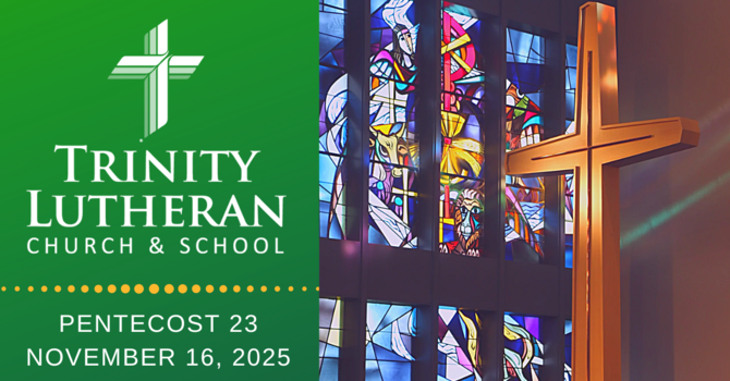 November 14, 2025 image