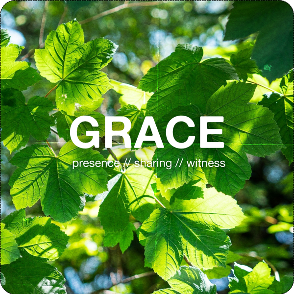 Twenty-Third Sunday after Pentecost