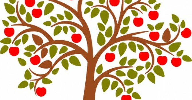 Plant an Apple Tree image