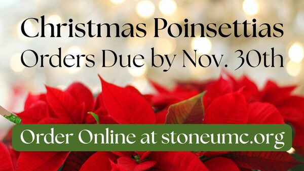 Order Your Christmas Poinsettias 