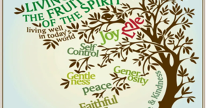 Bulletin November 16th image