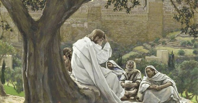 Bulletin for the Twenty-Third Sunday after Pentecost, November 16, 2025 image