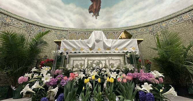 Interviews with Salem members: Anna Morgan image