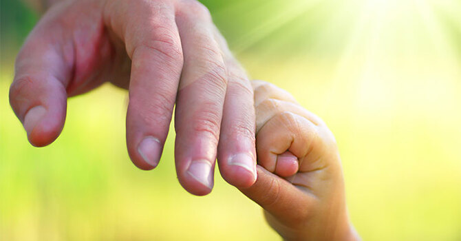 St. John's Weekly Bulletin - 14 November 2025 image