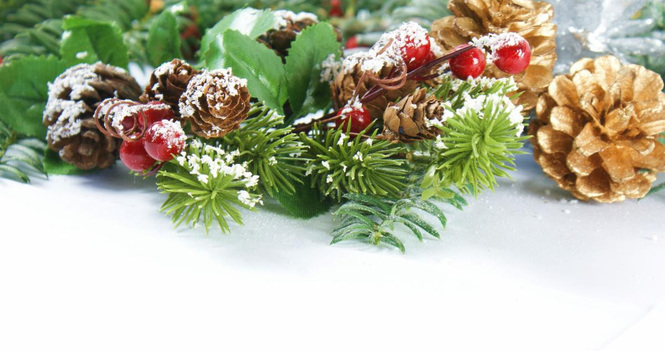 Annual WOJ Christmas Social Event 