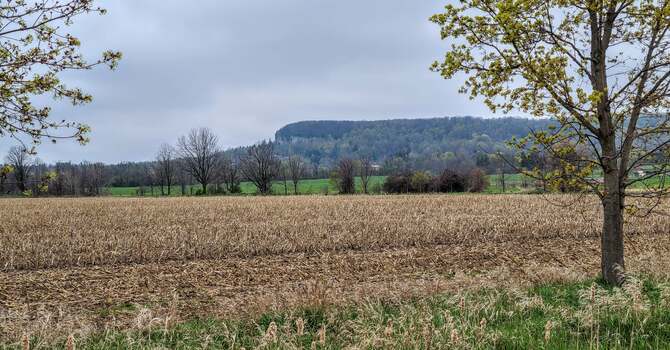 "The Challenge of Change."