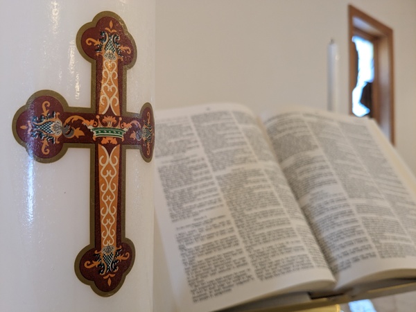 Weekly Update for the Twenty-Third Sunday of Pentecost