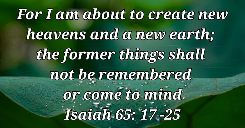 Twenty-third Sunday after Pentecost