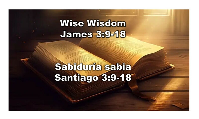 “Wise Wisdom”  