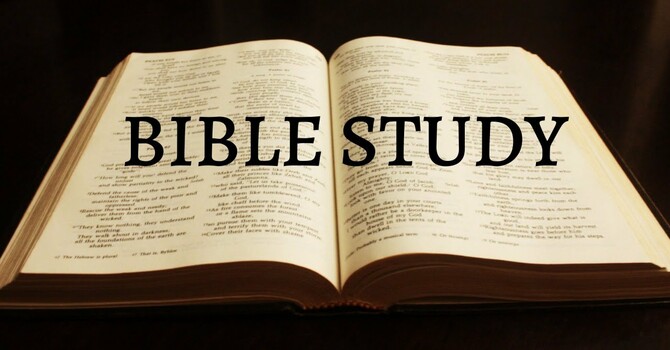 12 STEP BIBLE STUDY