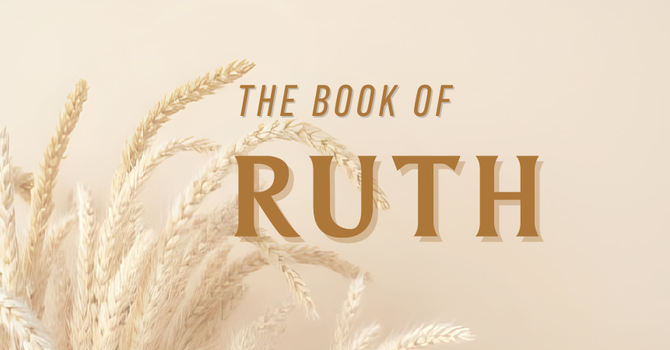 Provision and Protection