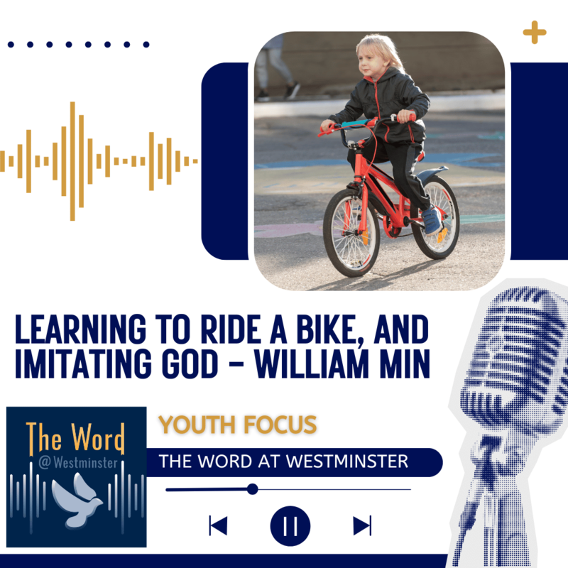 Learning to Ride a Bike, and Imitating God - with William Min