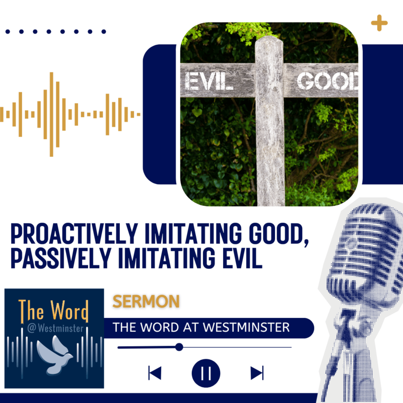 Proactively imitating good, passively imitating evil (Sermon)