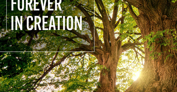 The Days Are Surely Coming  image