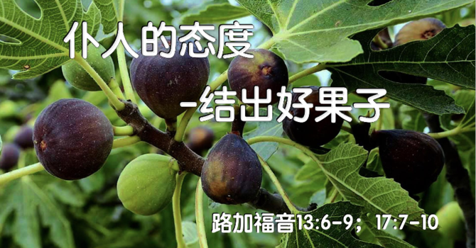 仆人的态度-结出好果子