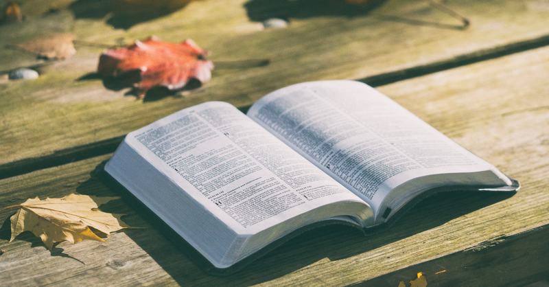 November 16th, 2025 Service