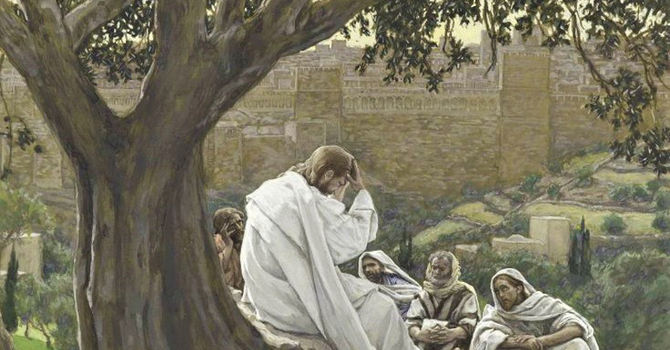 23rd SUNDAY AFTER PENTECOST