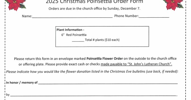 Christmas Poinsettias!