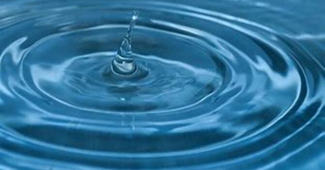 "Marked by the Water, Sent by the Spirit"