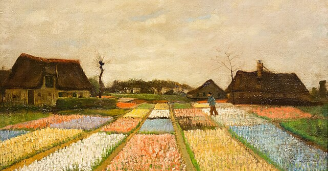 Ladies' Christmas Party