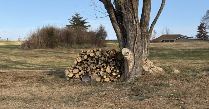 Free Firewood & Apple Gourds for Charity image