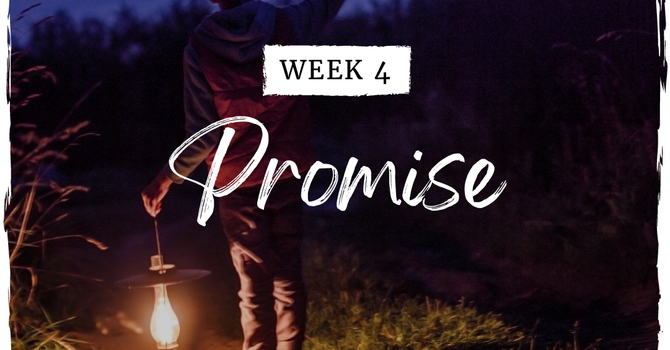 Advent 4: Promise