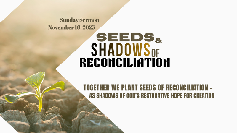 Seeds and Shadows of Reconciliation