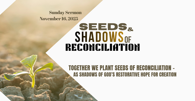 Seeds and Shadows of Reconciliation