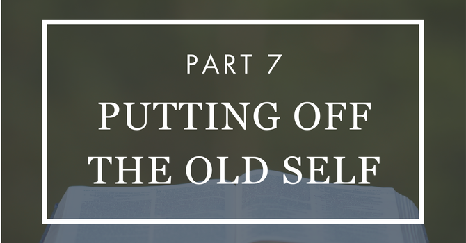 Putting Off the Old Self - Part 7