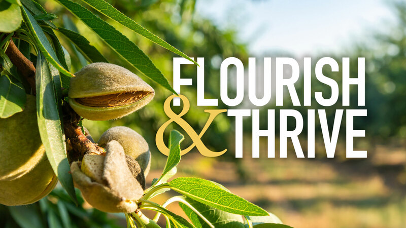 Flourish & Thrive #6