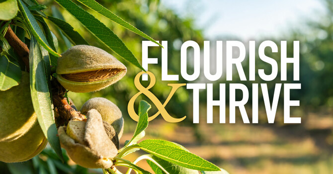Flourish & Thrive: Message 1