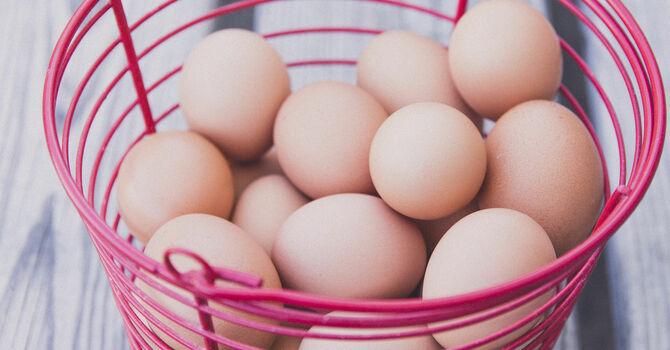 UMC Creation Care image