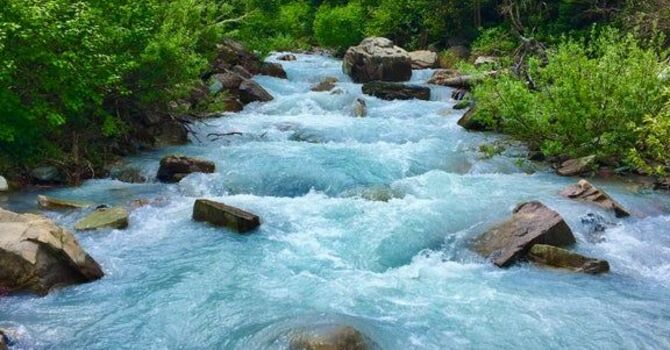 November 18, 2025 Devotion image