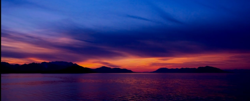 JOY in Our Creator and His Creation