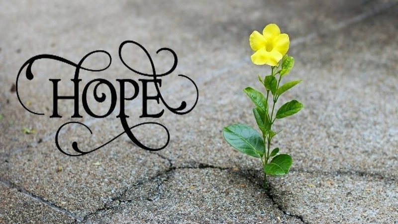Audacious Hope