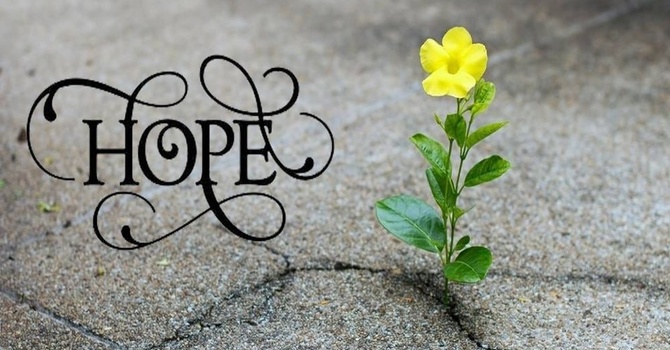 Audacious Hope