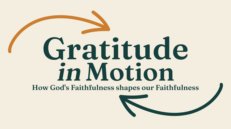 Grounded In Gratitude