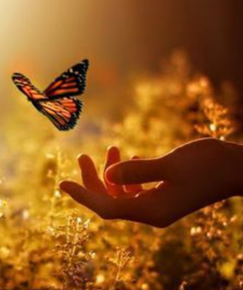 Cultivating a Gentle Spirit 