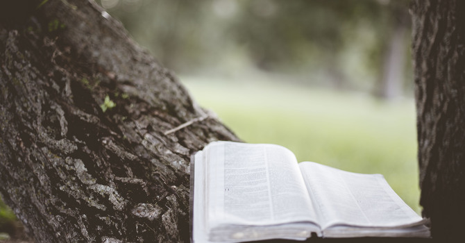 What the Bible Says About...Faith, Part 3