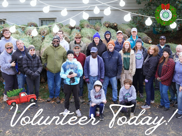Christmas Tree Project: Volunteer Today!